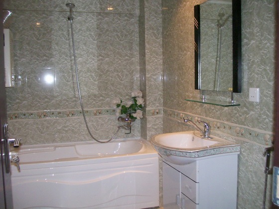 Holiday apartment in Baku