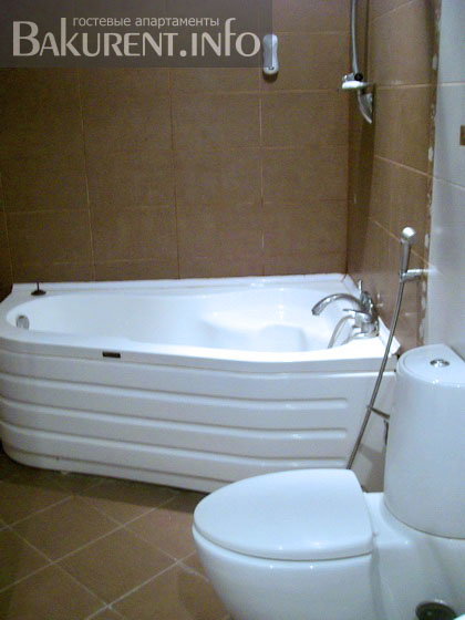 Holiday apartment in Baku