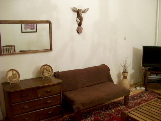 Holiday apartment in Baku