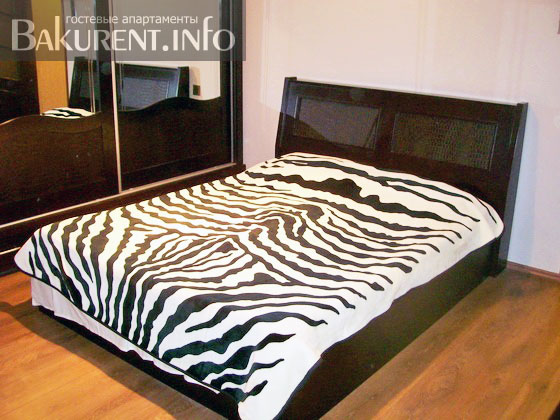 Holiday apartment in Baku